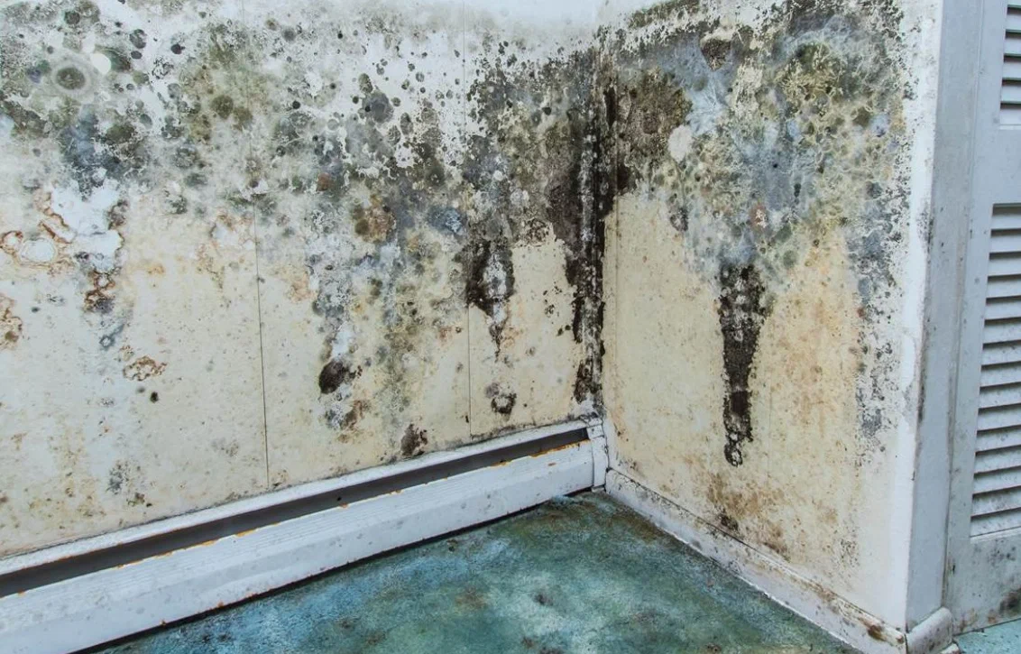 Home syövyttää seiniä ja pilaa remontin – mutta yksinkertainen temppu pelastaa kylpyhuoneen