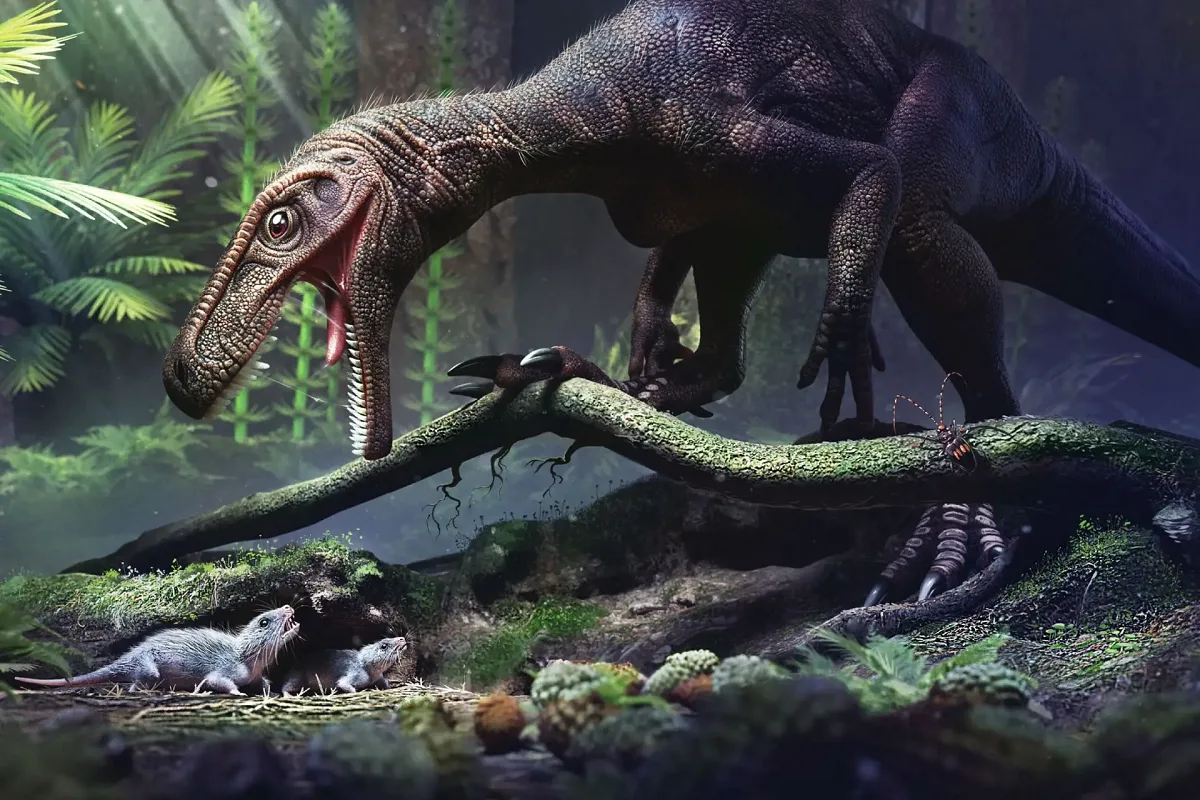 Löydetty fossiili pakottaa kirjoittamaan dinosaurusten historian uusiksi: Näin oli odottamaton saalistajien hierarkia