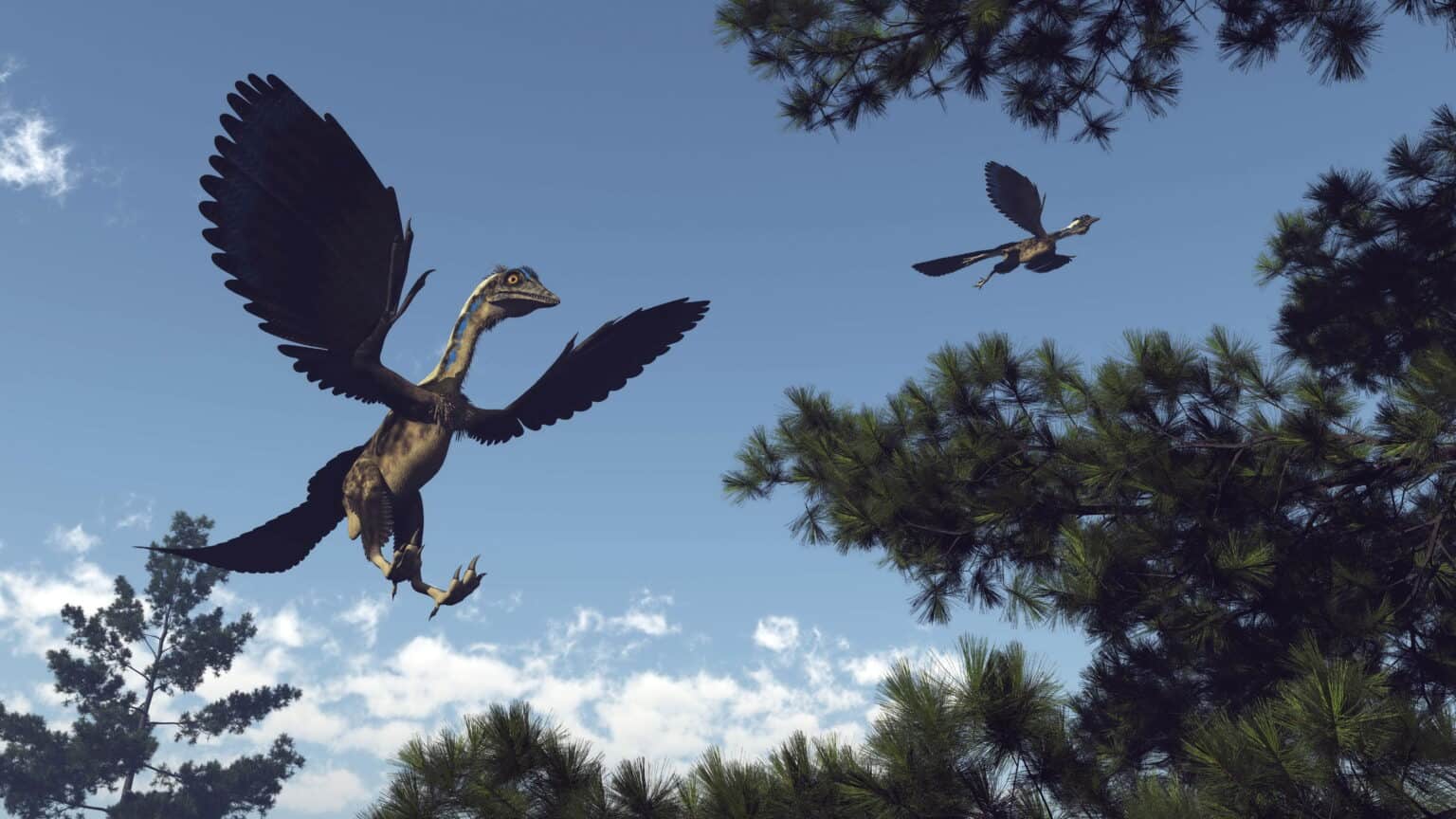 Eläin, joka eli maalla, mutta valitsi ilman: Archaeopteryx ei ollut vain dinosaurus