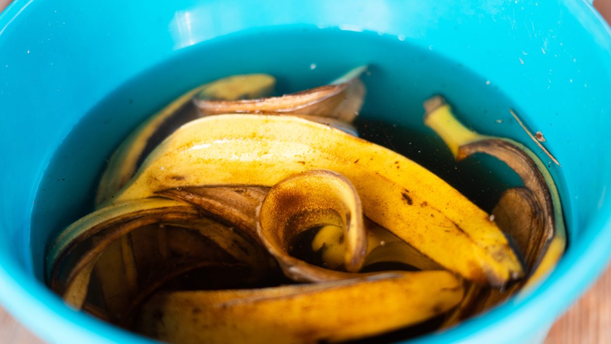 Banaaninkuori