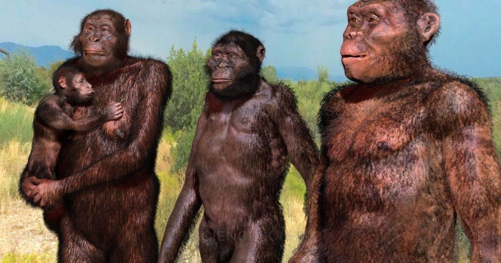 Australopithecus: pienet naaraat vastaan jättimäiset urokset? Tutkimus paljasti ennennäkemättömän eron koossa.