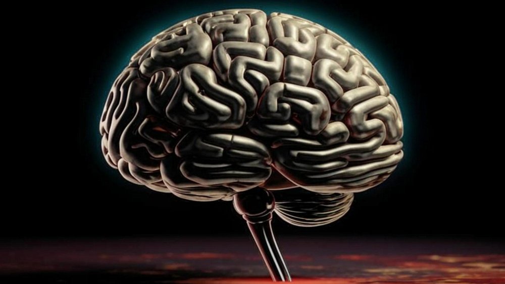 Neurobiologien mielestä 10 parasta harrastusta aivojen terveyden kannalta