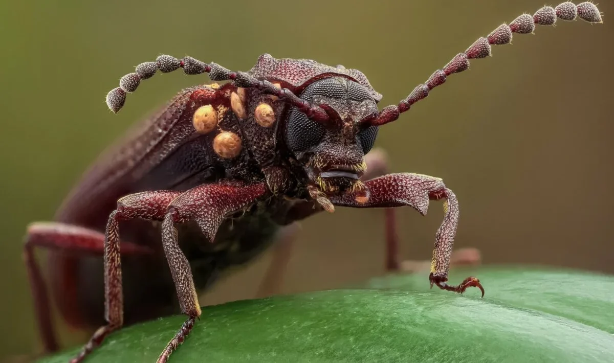 Biologien