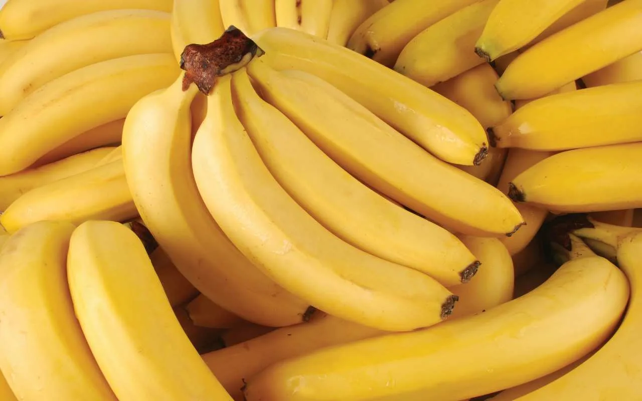 Mitä ovat banaanin ”langat” ja miksi niitä suositellaan syötäväksi?