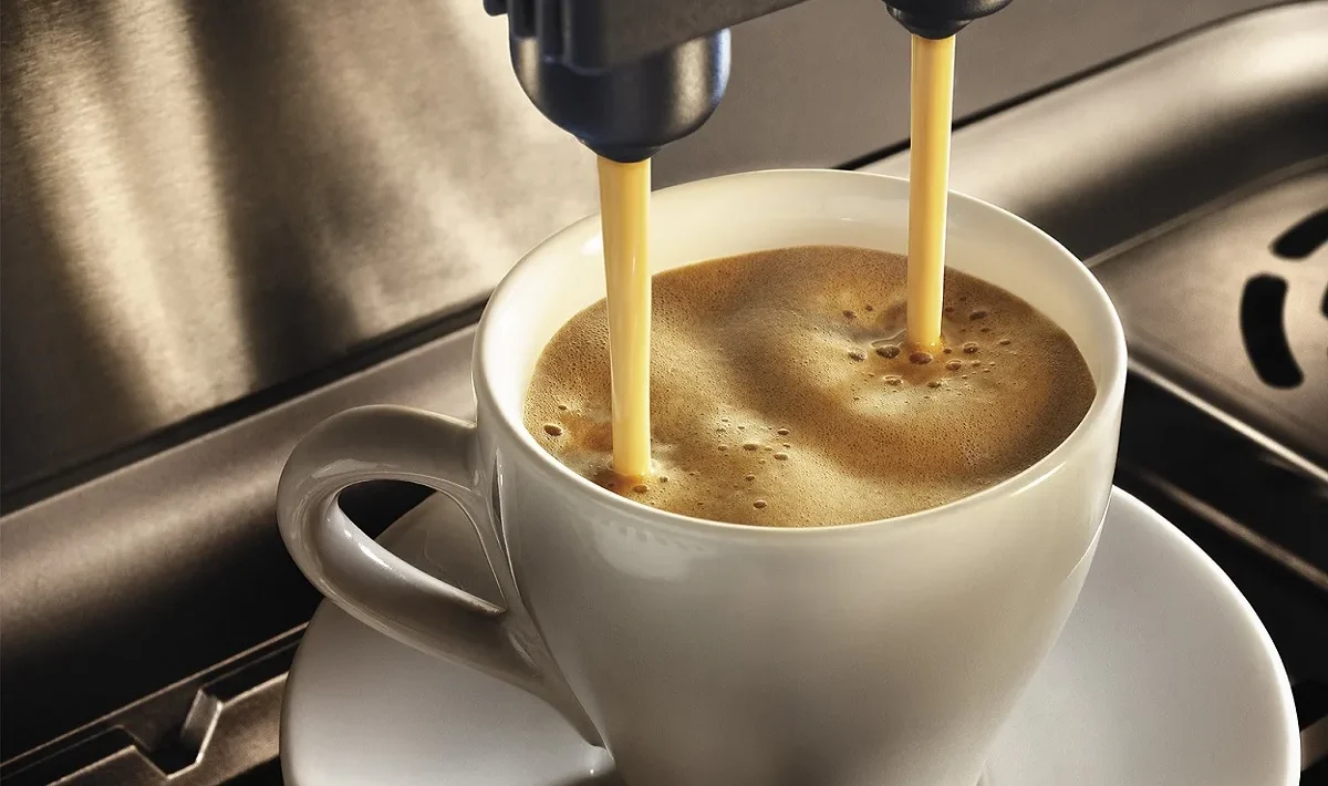 barista