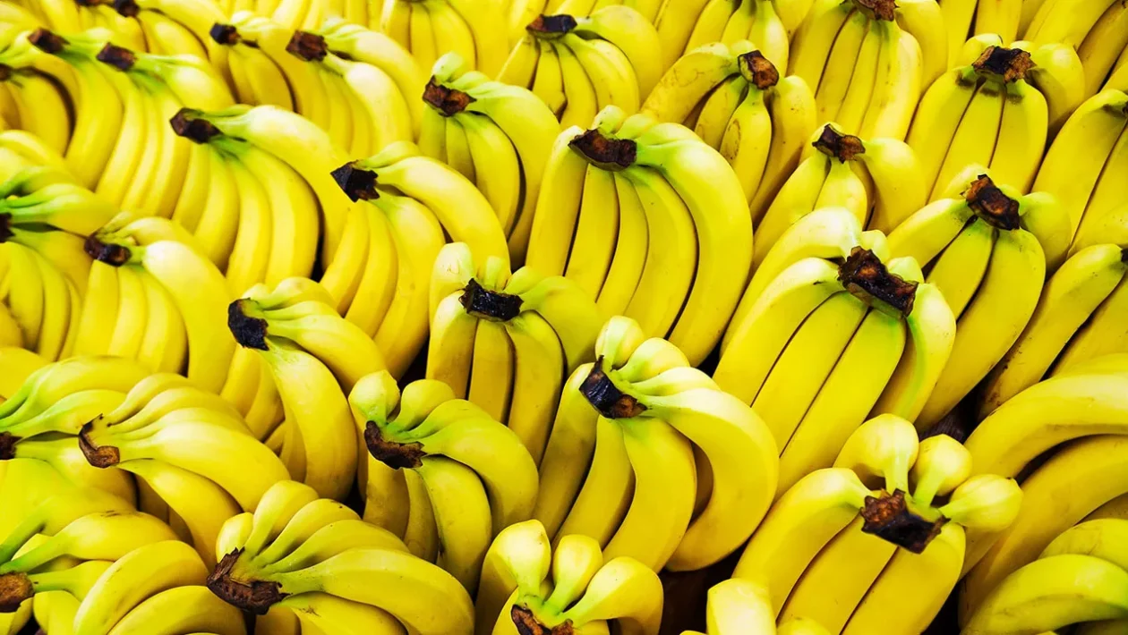 banaanin