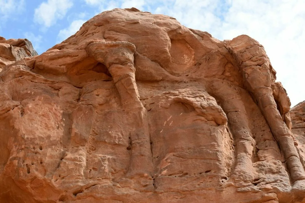 Saudi-Arabiassa löydetyt luonnollisen kokoiset kameliveistokset ovat vanhempia kuin pyramidit ja Stonehenge: analyysi osoittaa, että ne ovat tuhansia vuosia vanhempia kuin aiemmin on luultu