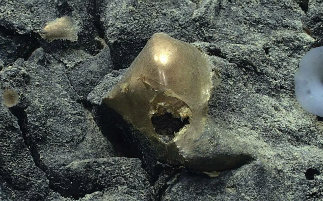 Maapallon ulkopuolinen materiaali, joka kiehtoi muinaisia egyptiläisiä, sumereita ja kiinalaisia