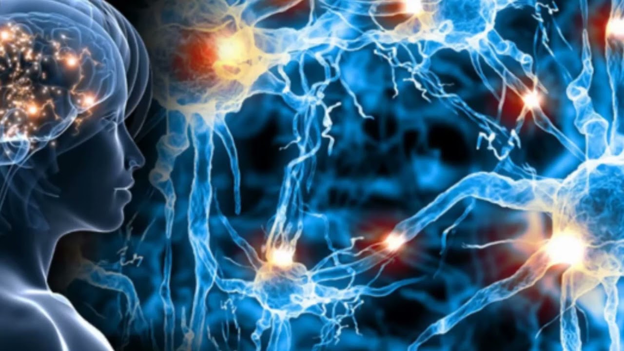 Neurobiologien mielestä 10 parasta harrastusta aivojen terveyden kannalta