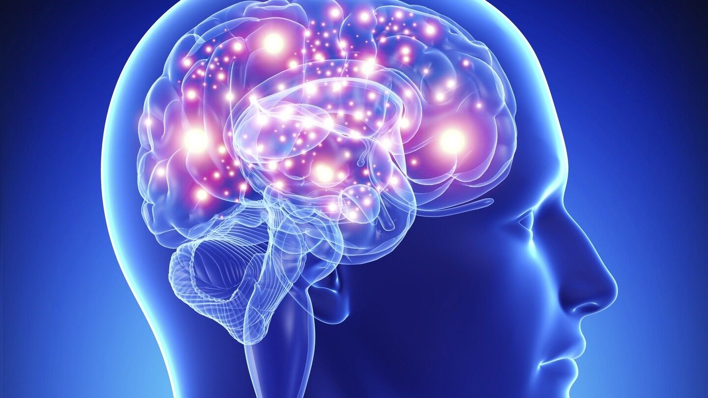 Neurobiologien mielestä 10 parasta harrastusta aivojen terveyden kannalta