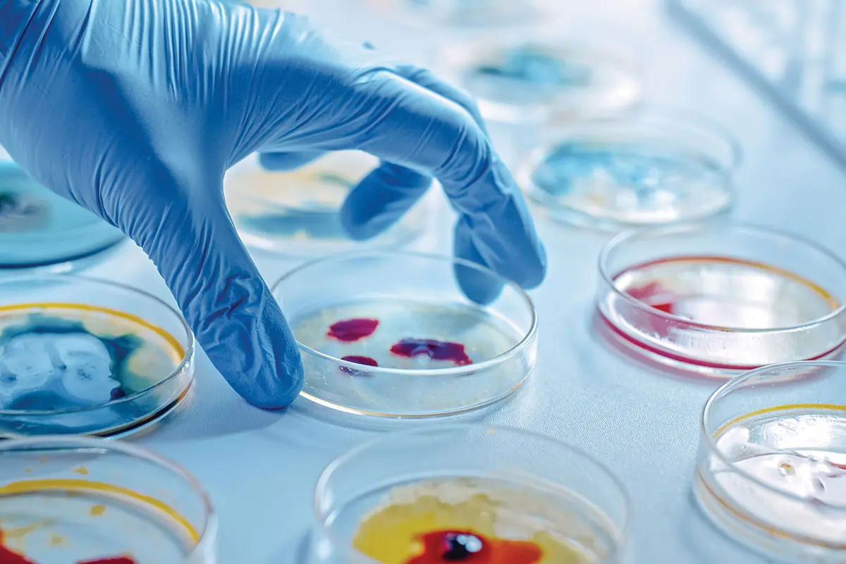 Biologien mukaan 90 % maapallon elävistä lajeista on vielä löytämättä